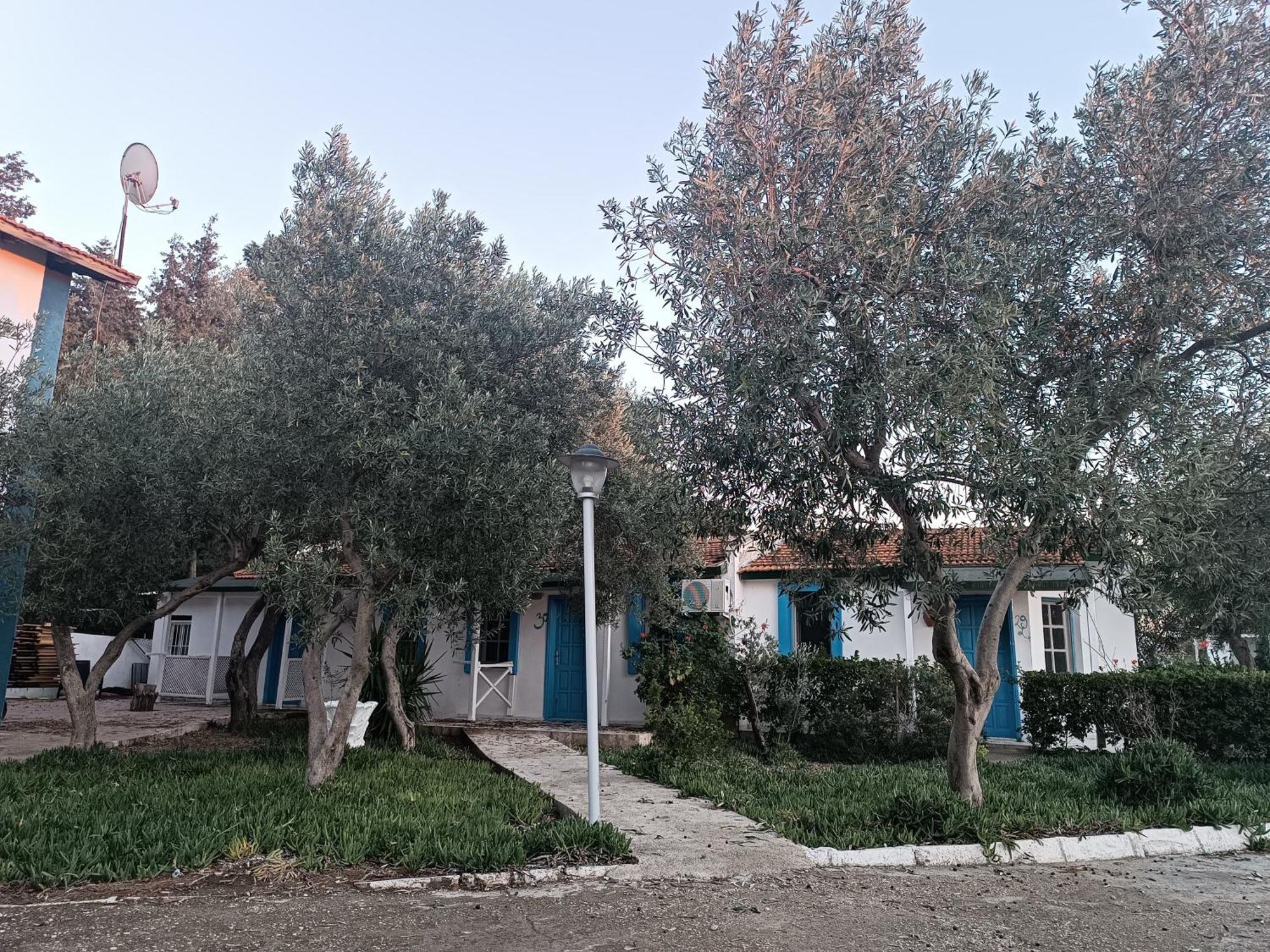 ホテル Teos Ormanci Tatil Koyu セェフェリヒサール エクステリア 写真