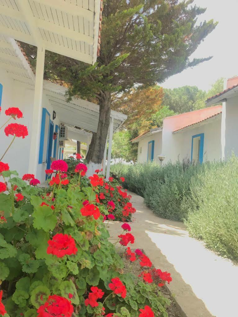 ホテル Teos Ormanci Tatil Koyu セェフェリヒサール エクステリア 写真